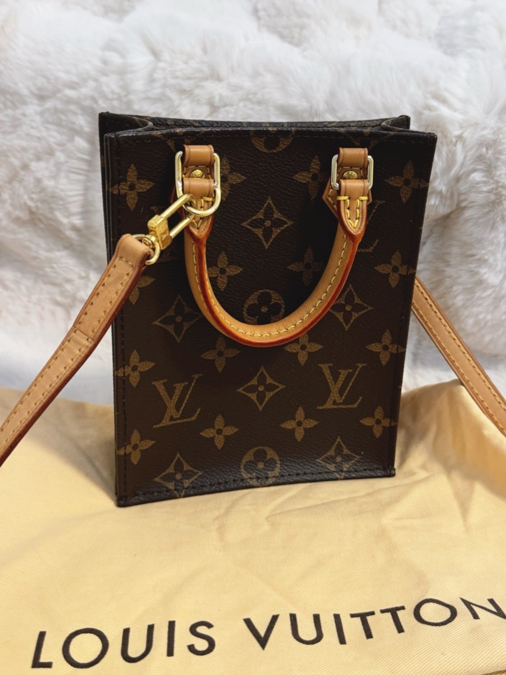 Louis Vuitton Petit Sac Plat Bag